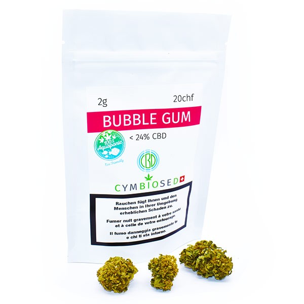 Bubble Gum 2gr