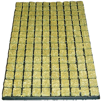 Stecklings-Tray, 25 x 25 mm, 150 stk ganze Kiste